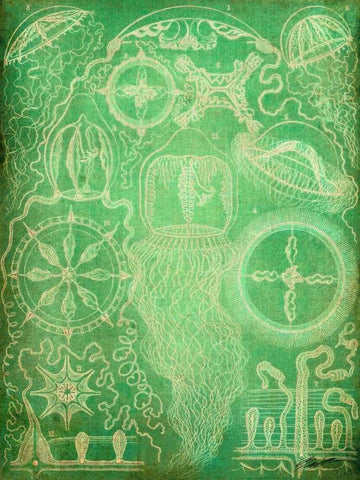 Sealife III White Modern Wood Framed Art Print with Double Matting by Butler, John