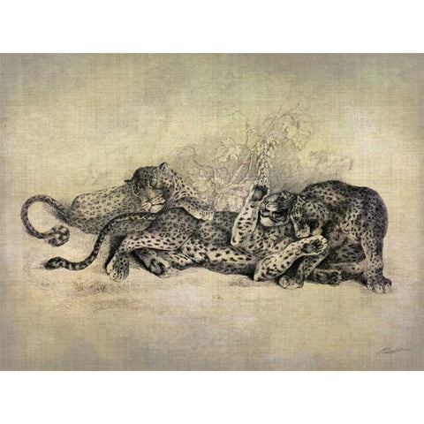 Big Cats I Black Modern Wood Framed Art Print by Butler, John