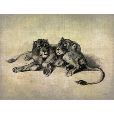 Big Cats III Gold Ornate Wood Framed Art Print with Double Matting by Butler, John