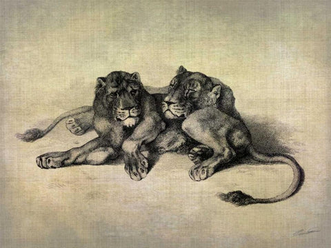 Big Cats III White Modern Wood Framed Art Print with Double Matting by Butler, John