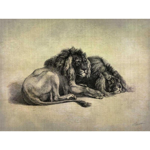 Big Cats IV Gold Ornate Wood Framed Art Print with Double Matting by Butler, John