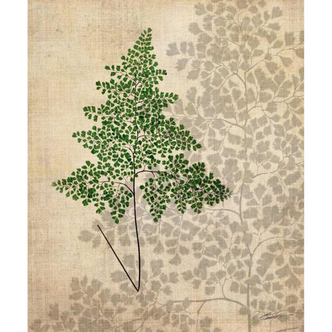 British Ferns I Black Modern Wood Framed Art Print with Double Matting by Butler, John