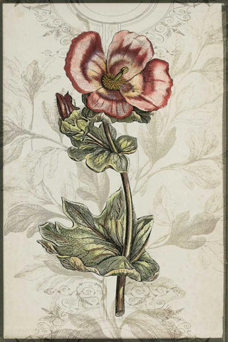 Keepsake Floral I Black Ornate Wood Framed Art Print with Double Matting by Goldberger, Jennifer