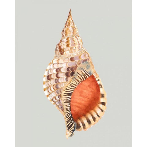 Giant Triton White Modern Wood Framed Art Print by Willett, Michael