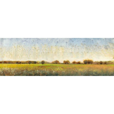 Flowering Meadow II Gold Ornate Wood Framed Art Print with Double Matting by OToole, Tim