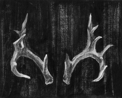 Rustic Antlers I White Modern Wood Framed Art Print with Double Matting by Harper, Ethan
