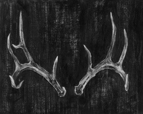 Rustic Antlers II Black Ornate Wood Framed Art Print with Double Matting by Harper, Ethan