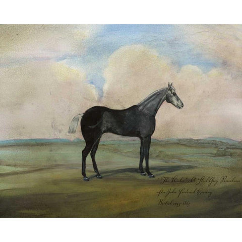 The Kicker- A Steel Grey Racehorse White Modern Wood Framed Art Print by McCavitt, Naomi