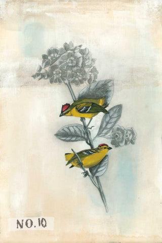 After Flight II Black Ornate Wood Framed Art Print with Double Matting by McCavitt, Naomi