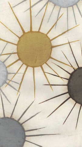 Starburst Triptych I Black Ornate Wood Framed Art Print with Double Matting by Vess, June Erica