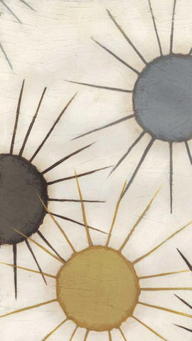 Starburst Triptych II Black Ornate Wood Framed Art Print with Double Matting by Vess, June Erica