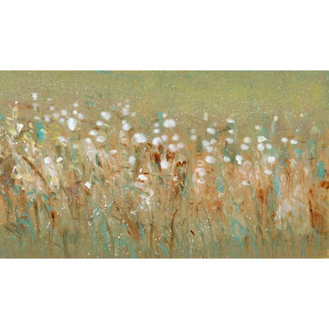 Meadow Blossoms I Black Modern Wood Framed Art Print by OToole, Tim