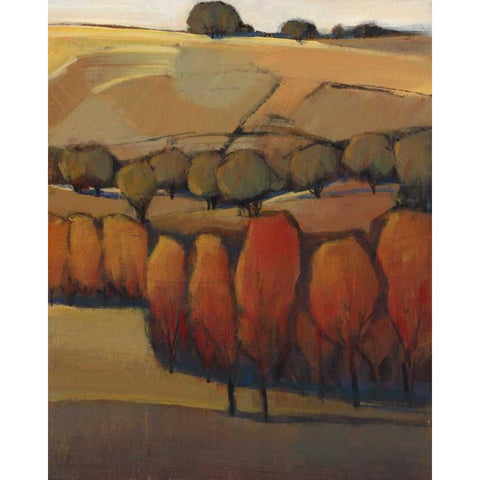 On the Ridge II White Modern Wood Framed Art Print by OToole, Tim