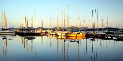 Marina Sundown III Black Ornate Wood Framed Art Print with Double Matting by Head, Danny