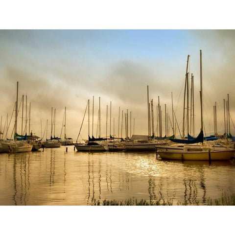 Morning Fog Black Modern Wood Framed Art Print by Head, Danny