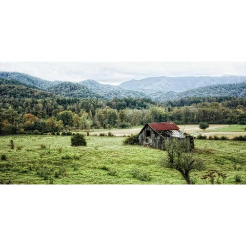 Down on the Farm Black Modern Wood Framed Art Print by Head, Danny