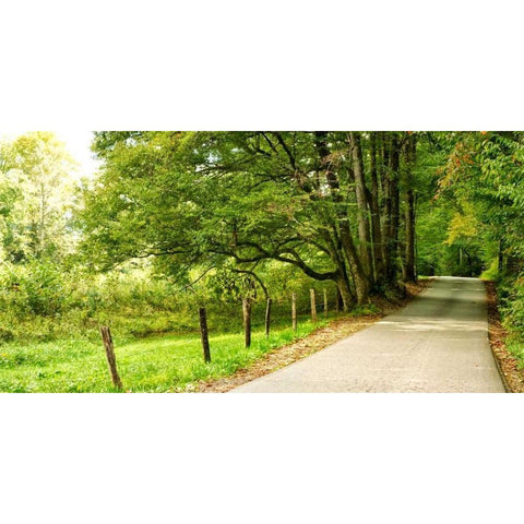 Over the Next Hill White Modern Wood Framed Art Print by Head, Danny