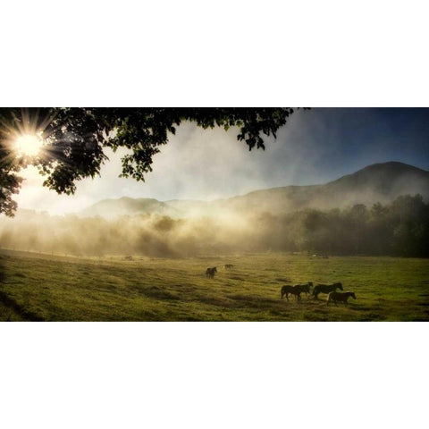 Running in the Mist Gold Ornate Wood Framed Art Print with Double Matting by Head, Danny