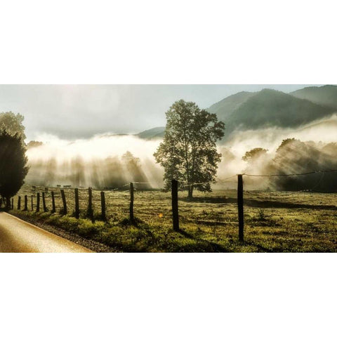 Sunrise in Cades Cove Gold Ornate Wood Framed Art Print with Double Matting by Head, Danny