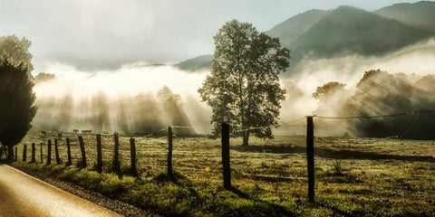 Sunrise in Cades Cove Black Ornate Wood Framed Art Print with Double Matting by Head, Danny