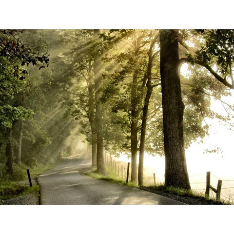 Fresh Morning II Gold Ornate Wood Framed Art Print with Double Matting by Head, Danny