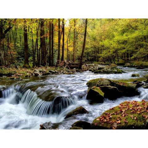 Over Flow I Gold Ornate Wood Framed Art Print with Double Matting by Head, Danny