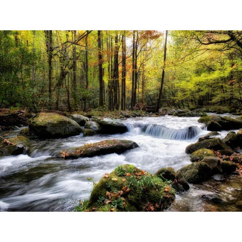 Over Flow II Gold Ornate Wood Framed Art Print with Double Matting by Head, Danny