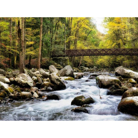 Bridging the Seasons White Modern Wood Framed Art Print by Head, Danny