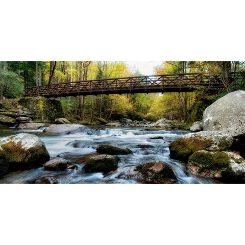 On the Rocks Panorama Black Modern Wood Framed Art Print by Head, Danny