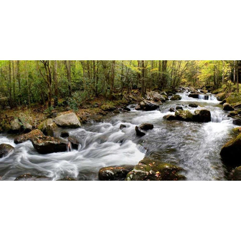 Up the Creek Panorama White Modern Wood Framed Art Print by Head, Danny