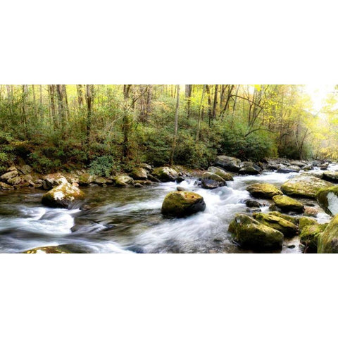 Riverside Panorama White Modern Wood Framed Art Print by Head, Danny