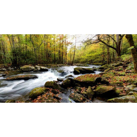 Tremont Panorama II Black Modern Wood Framed Art Print with Double Matting by Head, Danny