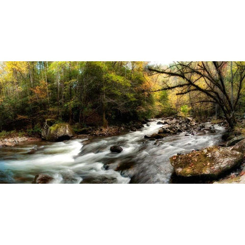 Tremont Panorama III White Modern Wood Framed Art Print by Head, Danny