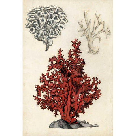 Seashore Field Notes V Black Modern Wood Framed Art Print by McCavitt, Naomi