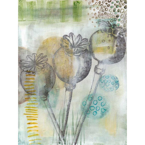 Seed Pod Composition II Gold Ornate Wood Framed Art Print with Double Matting by McCavitt, Naomi