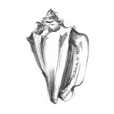 UA CH Shell Sketch I Gold Ornate Wood Framed Art Print with Double Matting by Harper, Ethan