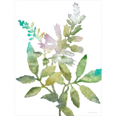 Blooms for Nico I Black Modern Wood Framed Art Print by Meagher, Megan