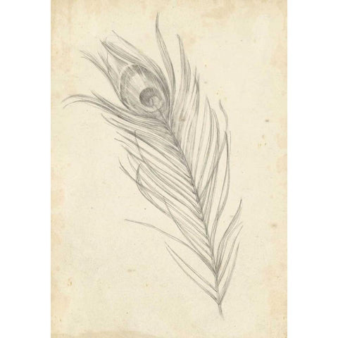 Peacock Feather Sketch I Black Modern Wood Framed Art Print with Double Matting by Harper, Ethan