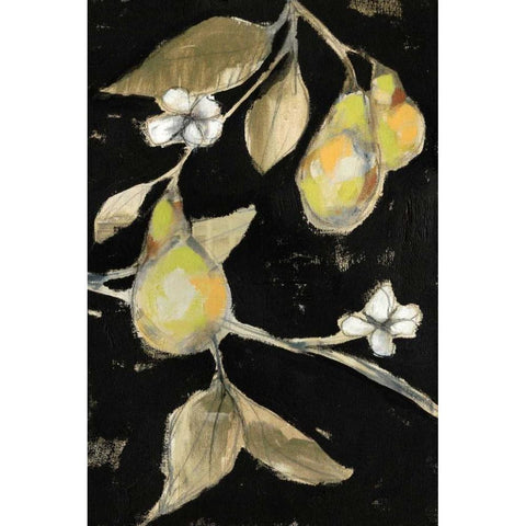 Fresh Pears II Black Modern Wood Framed Art Print with Double Matting by Goldberger, Jennifer