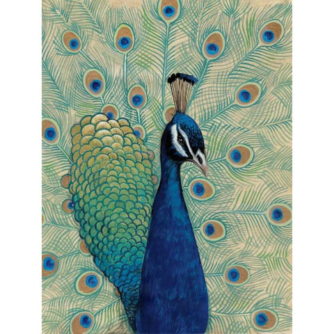 Blue Peacock I Gold Ornate Wood Framed Art Print with Double Matting by OToole, Tim