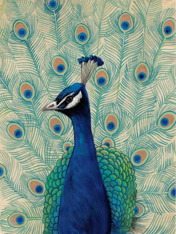 Blue Peacock II White Modern Wood Framed Art Print with Double Matting by OToole, Tim