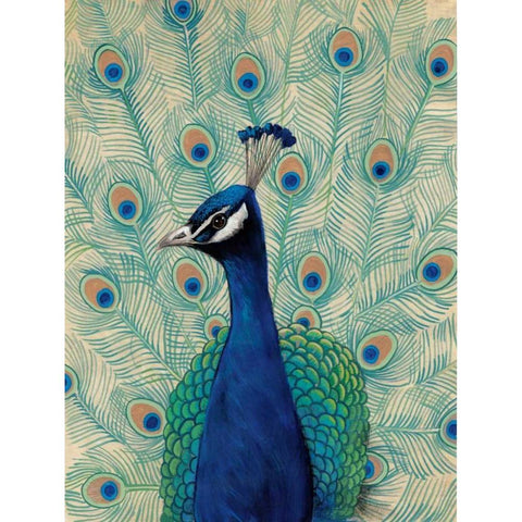 Blue Peacock II Black Modern Wood Framed Art Print with Double Matting by OToole, Tim