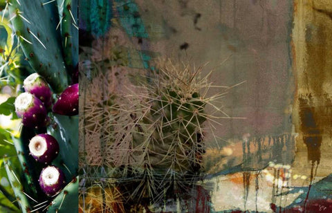 Texas Cactus Collage Black Ornate Wood Framed Art Print with Double Matting by Jasper, Sisa