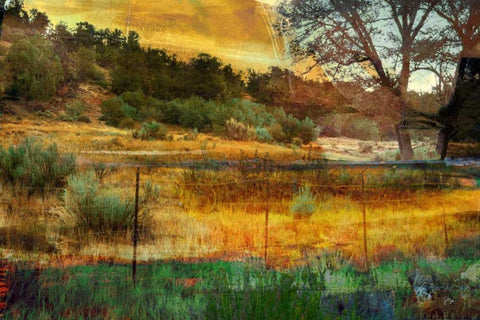 In the Brush Black Ornate Wood Framed Art Print with Double Matting by Jasper, Sisa