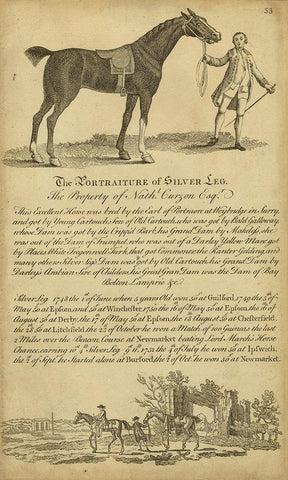 Horse Portraiture I Black Ornate Wood Framed Art Print with Double Matting by Unknown