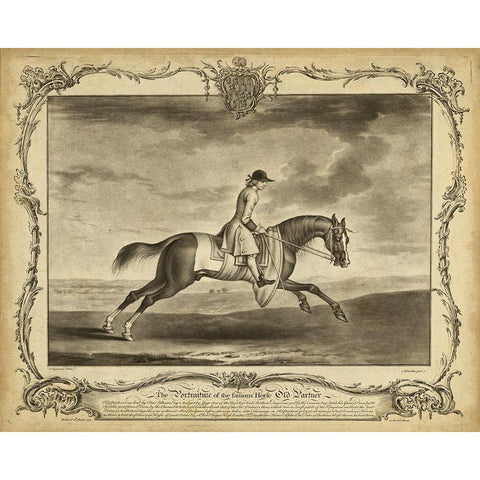 Distinguished Horses I White Modern Wood Framed Art Print by Unknown