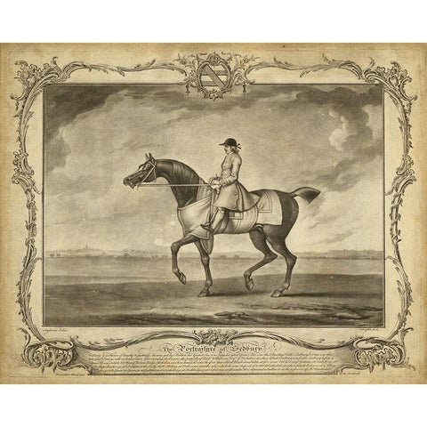 Distinguished Horses II Black Modern Wood Framed Art Print with Double Matting by Unknown