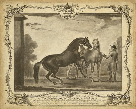 Distinguished Horses III Black Ornate Wood Framed Art Print with Double Matting by Unknown