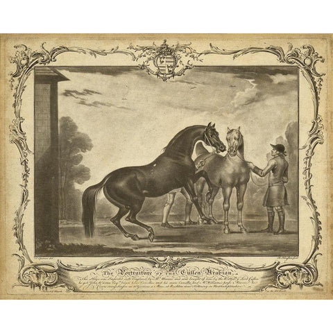 Distinguished Horses III Gold Ornate Wood Framed Art Print with Double Matting by Unknown