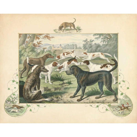 A Group of Hounds White Modern Wood Framed Art Print by Unknown